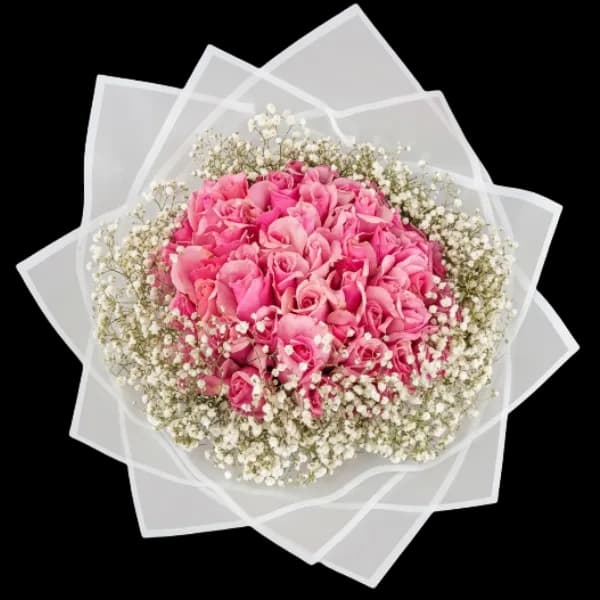 Rose Romance