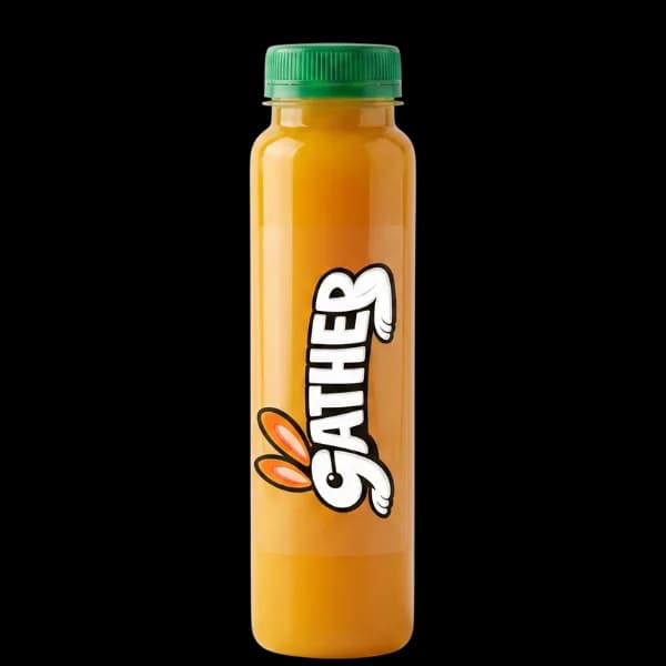 Fresh Mango Juice