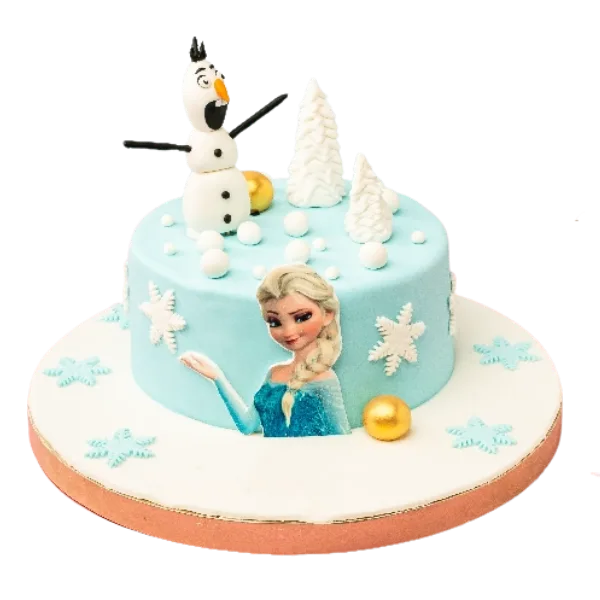 Frozen Birthday Cake