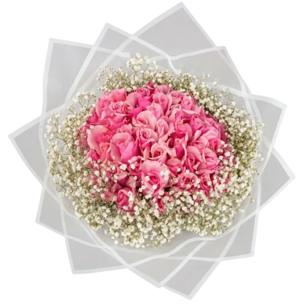 Rose Romance
