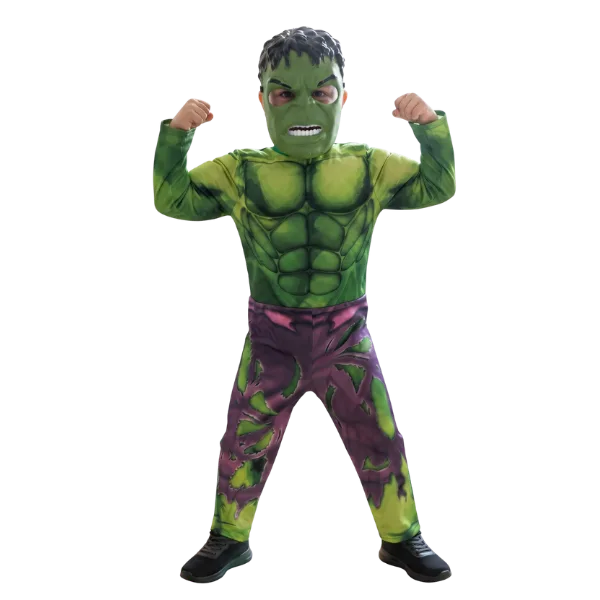 Hulk Costume