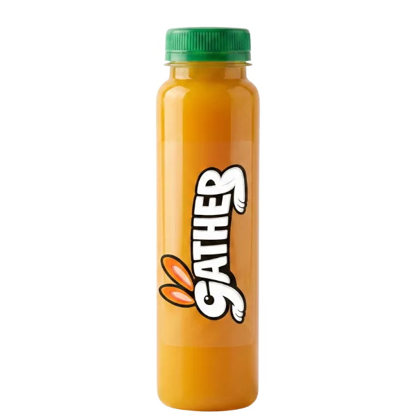 Fresh Mango Juice